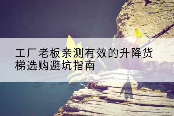东风升降货梯怎么选-工厂老板亲测有效的升降货梯选购避坑指南