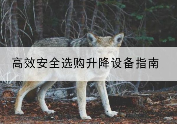 东风升降货梯厂家推荐-*安全选购升降设备指南