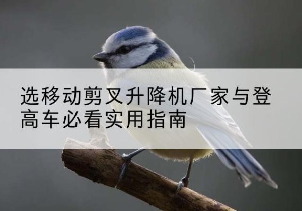东风电动升降机厂家-选移动剪叉升降机厂家与登高车必看实用指南